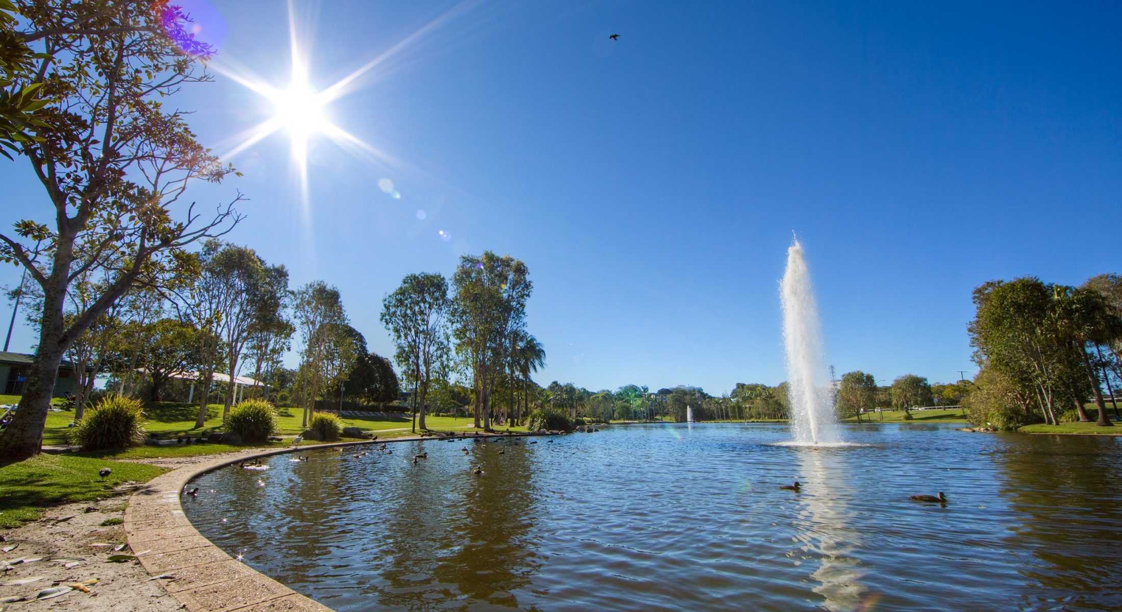 Centenary Lakes Sunny Water Feature Visit Moreton Bay Region